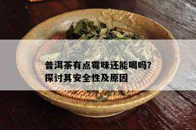 普洱茶有点霉味还能喝吗？探讨其安全性及原因