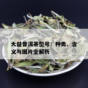 大益普洱茶型号：种类、含义与图片全解析