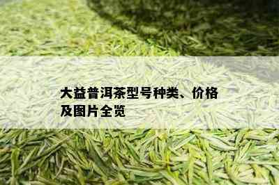 大益普洱茶型号种类、价格及图片全览