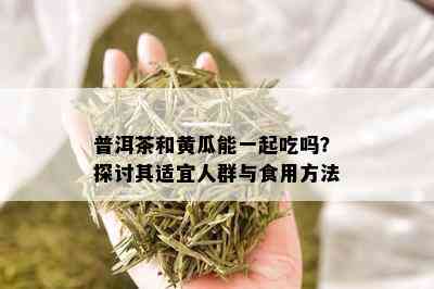 普洱茶和黄瓜能一起吃吗？探讨其适宜人群与食用方法