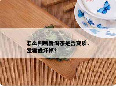 怎么判断普洱茶是否变质、发霉或坏掉？