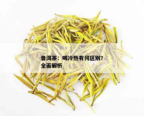 普洱茶：喝冷热有何区别？全面解析