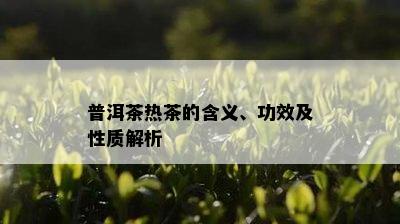 普洱茶热茶的含义、功效及性质解析