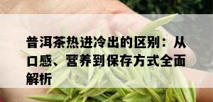 普洱茶热进冷出的区别：从口感、营养到保存方式全面解析