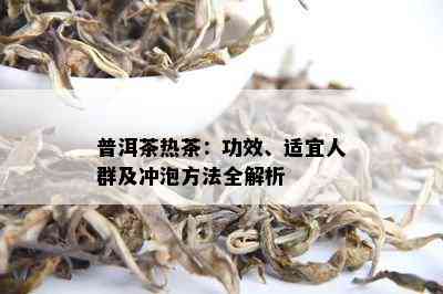 普洱茶热茶：功效、适宜人群及冲泡方法全解析