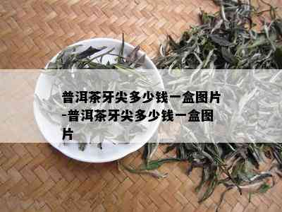 普洱茶牙尖多少钱一盒图片-普洱茶牙尖多少钱一盒图片