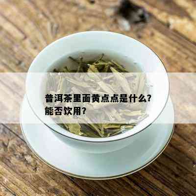 普洱茶里面黄点点是什么？能否饮用？