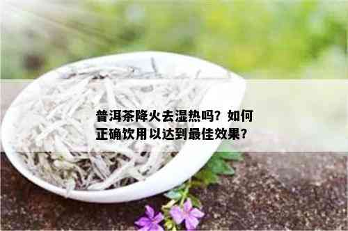 普洱茶降火去湿热吗？如何正确饮用以达到更佳效果？