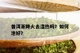 普洱茶降火去湿热吗？如何泡好？