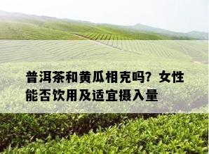 普洱茶和黄瓜相克吗？女性能否饮用及适宜摄入量