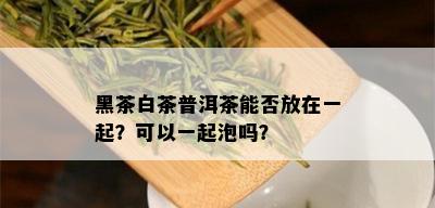 黑茶白茶普洱茶能否放在一起？可以一起泡吗？