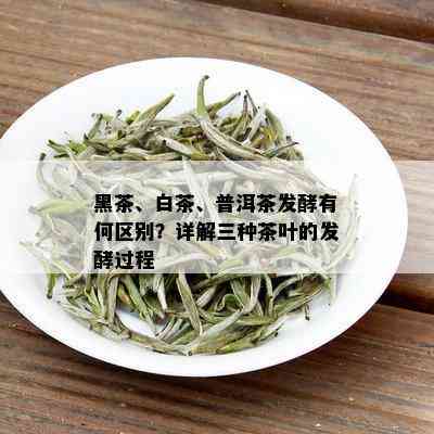 黑茶、白茶、普洱茶发酵有何区别？详解三种茶叶的发酵过程