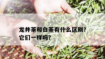 龙井茶和白茶有什么区别？它们一样吗？