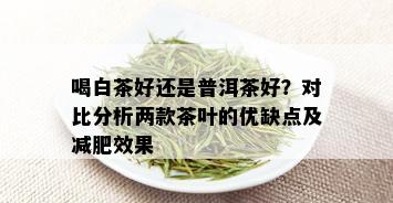 喝白茶好还是普洱茶好？对比分析两款茶叶的优缺点及减肥效果