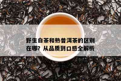 野生白茶和熟普洱茶的区别在哪？从品质到口感全解析