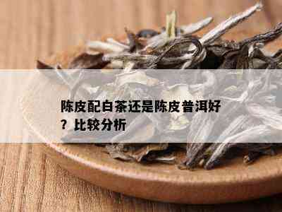 陈皮配白茶还是陈皮普洱好？比较分析