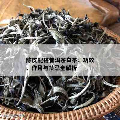 陈皮配搭普洱茶白茶：功效、作用与禁忌全解析