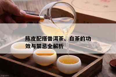 陈皮配搭普洱茶、白茶的功效与禁忌全解析