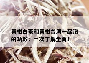 青柑白茶和青柑普洱一起泡的功效：一次了解全面！