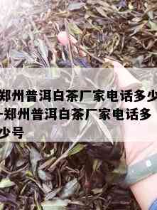 郑州普洱白茶厂家电话多少-郑州普洱白茶厂家电话多少号