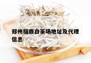 郑州福鼎白茶场地址及代理信息