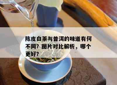 陈皮白茶与普洱的味道有何不同？图片对比解析，哪个更好？