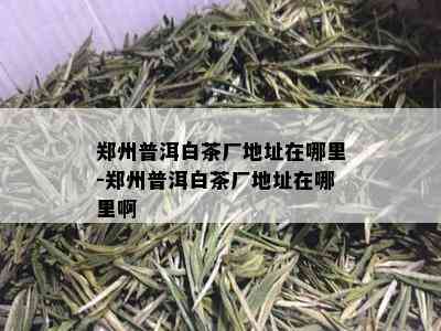 郑州普洱白茶厂地址在哪里-郑州普洱白茶厂地址在哪里啊