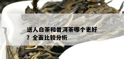 送人白茶和普洱茶哪个更好？全面比较分析