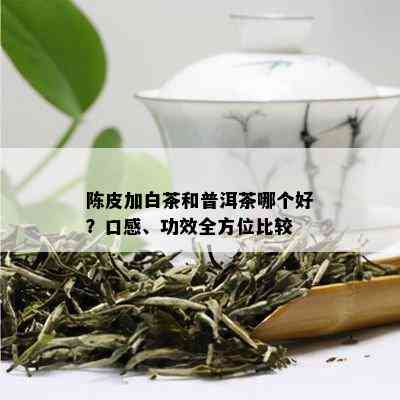 陈皮加白茶和普洱茶哪个好？口感、功效全方位比较