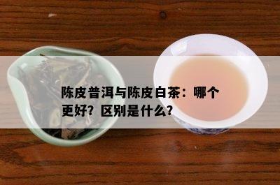 陈皮普洱与陈皮白茶：哪个更好？区别是什么？