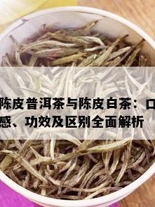 陈皮普洱茶与陈皮白茶：口感、功效及区别全面解析