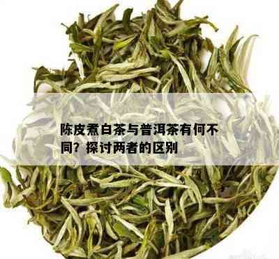 陈皮煮白茶与普洱茶有何不同？探讨两者的区别