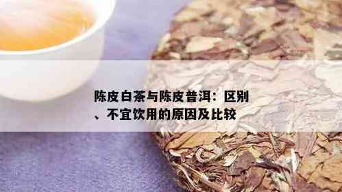 陈皮白茶与陈皮普洱：区别、不宜饮用的原因及比较