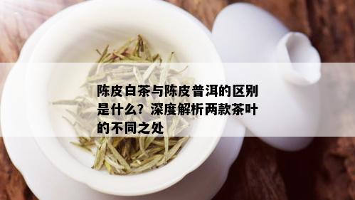 陈皮白茶与陈皮普洱的区别是什么？深度解析两款茶叶的不同之处