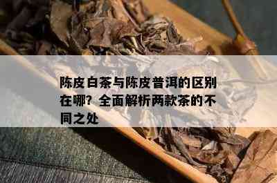 陈皮白茶与陈皮普洱的区别在哪？全面解析两款茶的不同之处