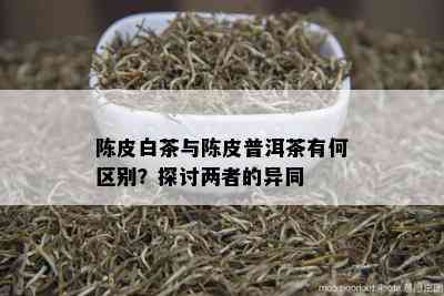 陈皮白茶与陈皮普洱茶有何区别？探讨两者的异同