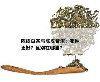 陈皮白茶与陈皮普洱：哪种更好？区别在哪里？