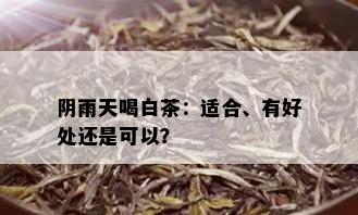 阴雨天喝白茶：适合、有好处还是可以？