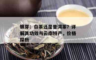 银芽：白茶还是普洱茶？详解其功效与云南特产，价格探析