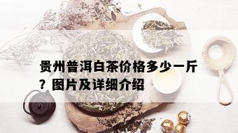 贵州普洱白茶价格多少一斤？图片及详细介绍