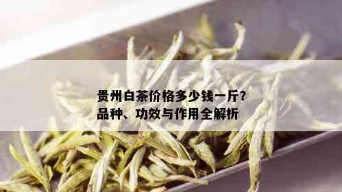 贵州白茶价格多少钱一斤？品种、功效与作用全解析