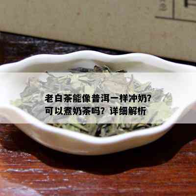 老白茶能像普洱一样冲奶？可以煮奶茶吗？详细解析