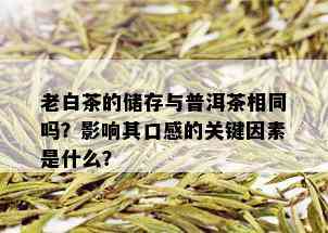 老白茶的储存与普洱茶相同吗？影响其口感的关键因素是什么？