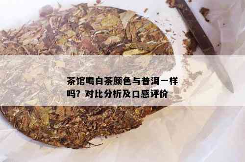 茶馆喝白茶颜色与普洱一样吗？对比分析及口感评价