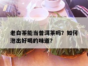 老白茶能当普洱茶吗？如何泡出好喝的味道？