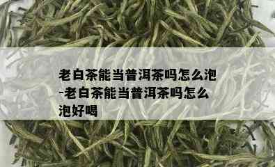 老白茶能当普洱茶吗怎么泡-老白茶能当普洱茶吗怎么泡好喝