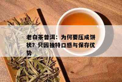 老白茶普洱：为何要压成饼状？只因独特口感与保存优势