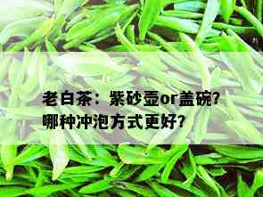 老白茶：紫砂壶or盖碗？哪种冲泡方式更好？