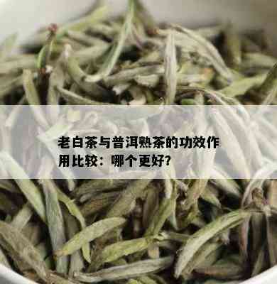 老白茶与普洱熟茶的功效作用比较：哪个更好？