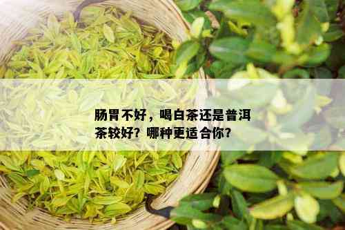 肠胃不好，喝白茶还是普洱茶较好？哪种更适合你？